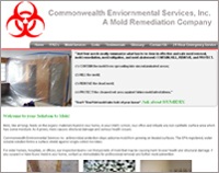 Common Wealth Environmental Services Inc
